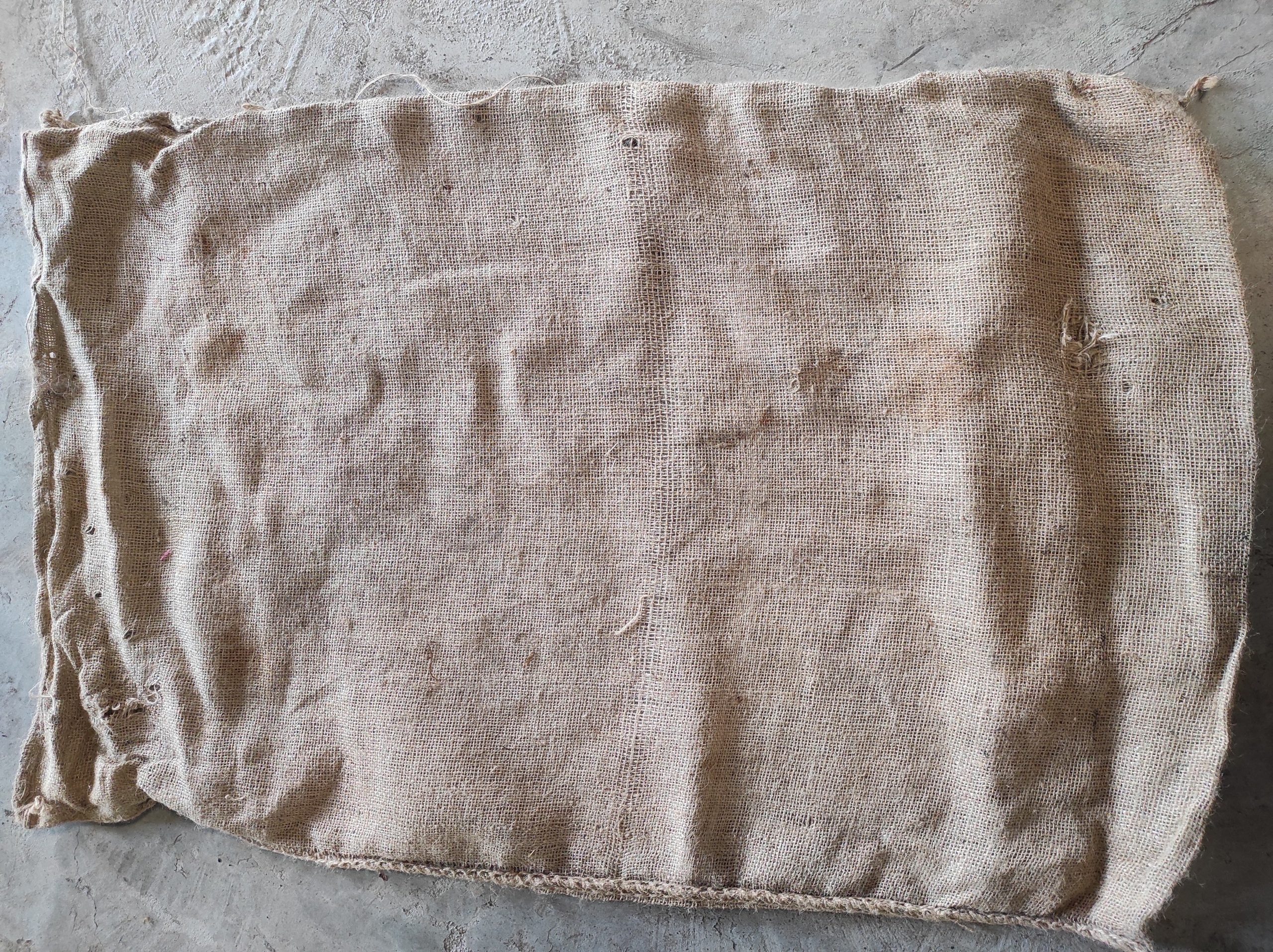 Bao Bố