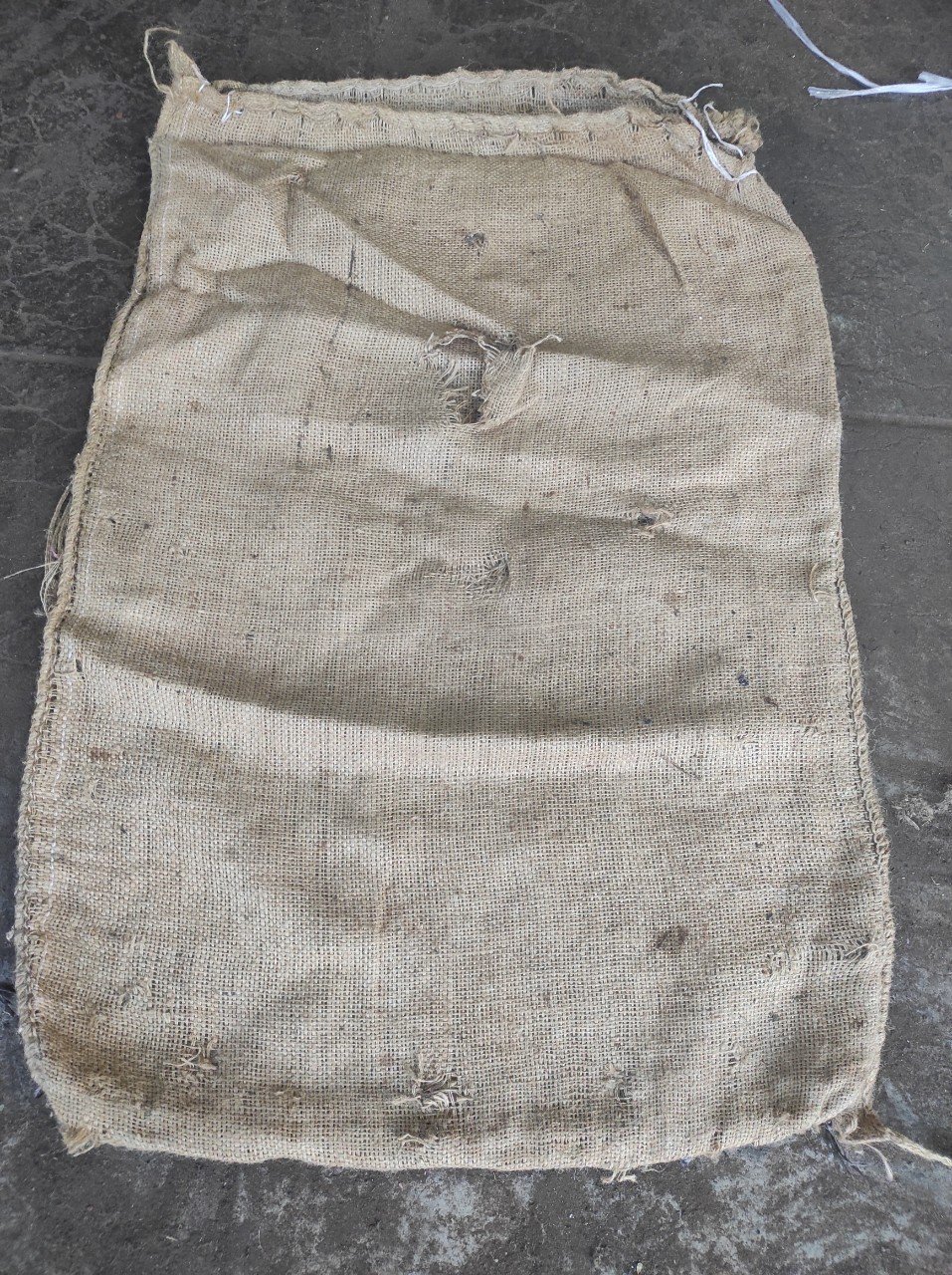 Bao Bố Cũ