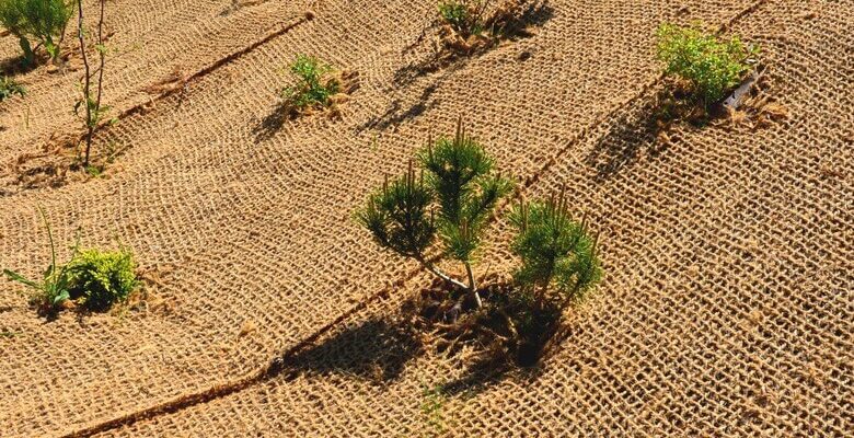 Jute Mats