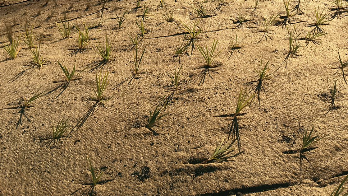 Jute Mats