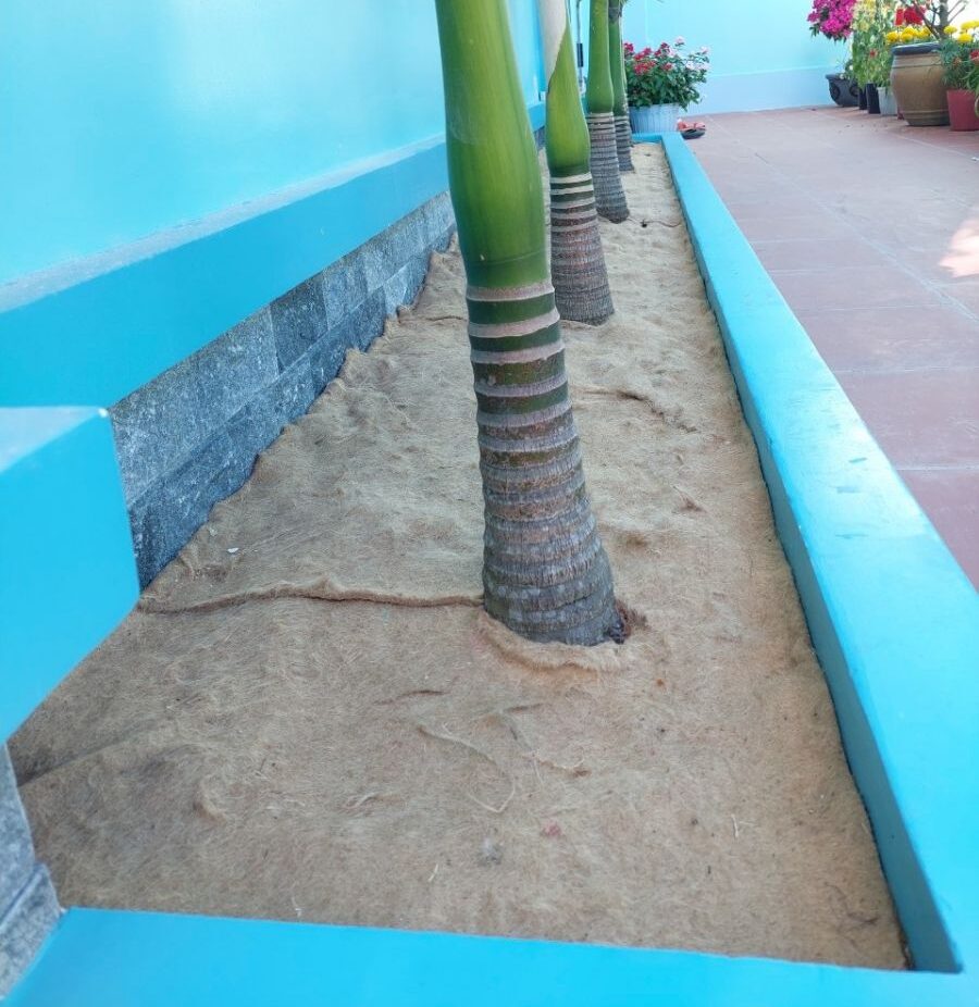 bao bố cũ