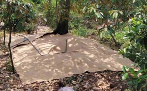 Jute Mats